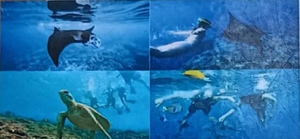 Snorkelling Nusa Penida